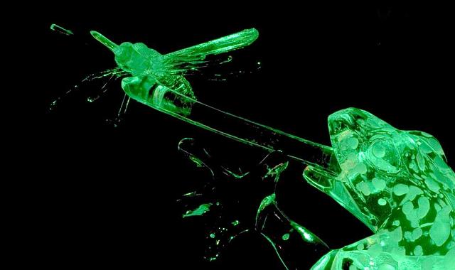 Ice 2005120 1.jpg